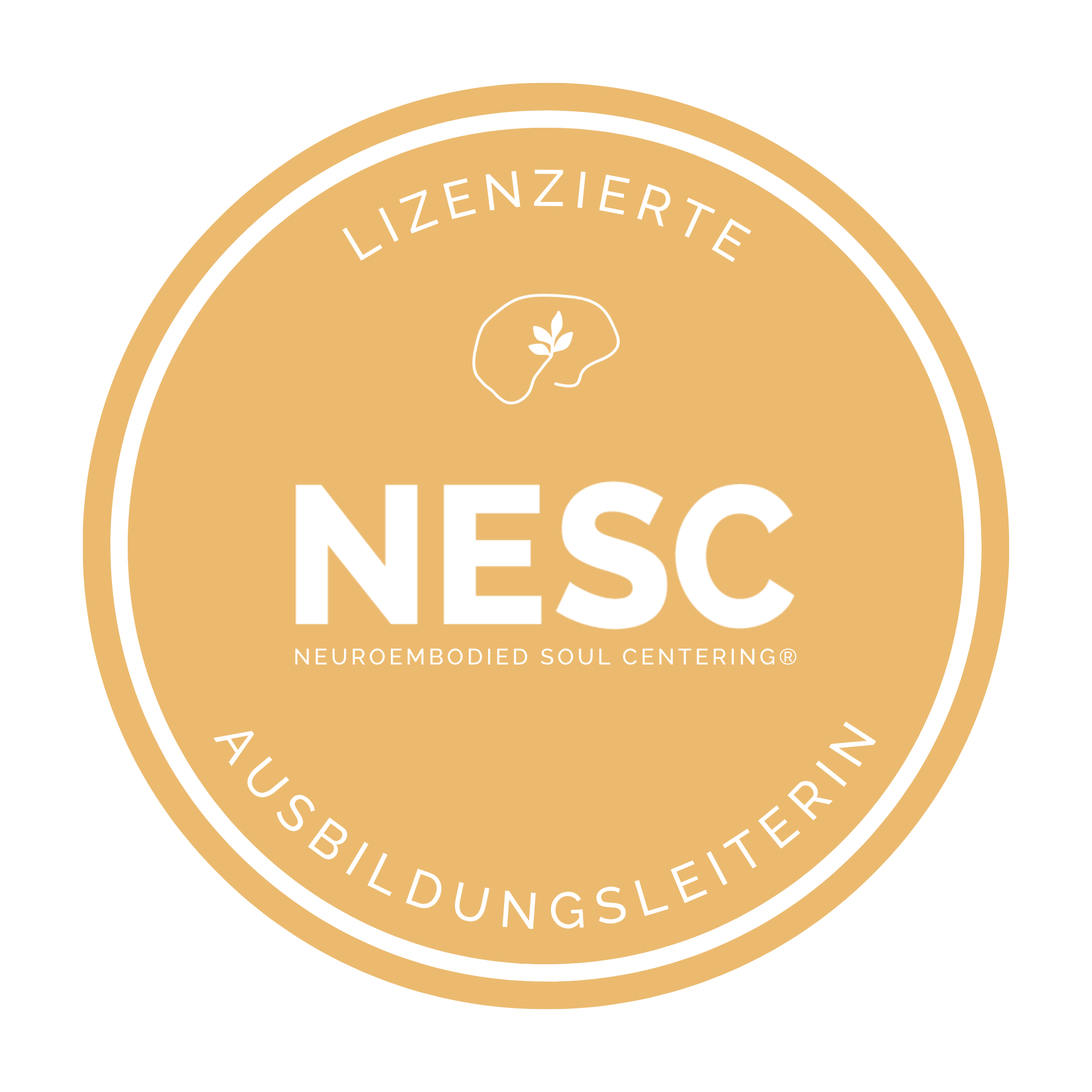 NESC Siegel NESC Lizenz Siegel